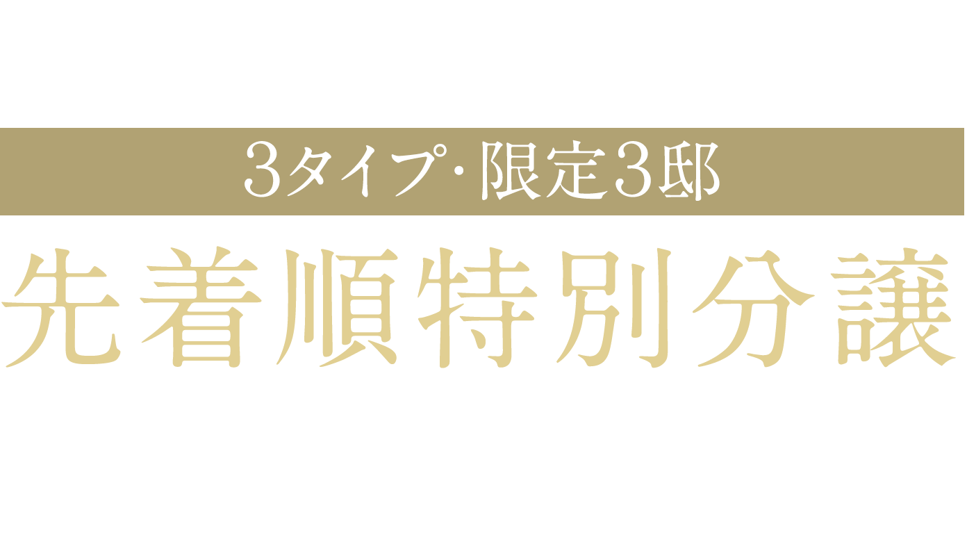 モデルルーム特別分譲｜3タイプ・限定3邸｜先着順特別分譲｜実物を現地にてご確認下さいませ｜資料請求・来場予約受付中